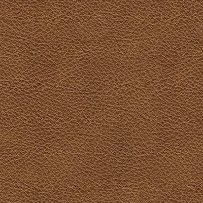 Carianna Loveseat