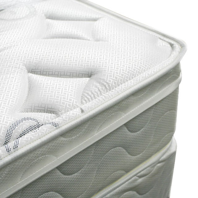 JALEN White 9" Euro Top Mattress