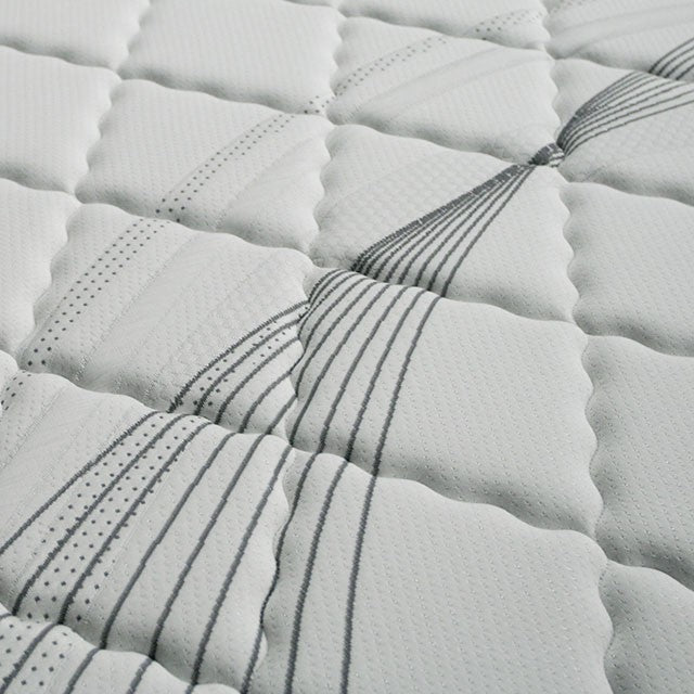EDREA White/Gray 10" Tight Top Pocket Coil