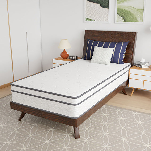 Catmint 10" Innerspring Mattress