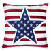 Texis Multi 20" X 20" Pillow image